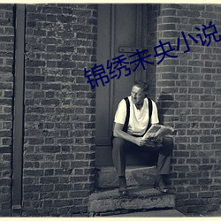 錦繡未央小說