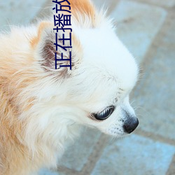 金年会(中国)官方网站