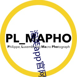 泡芙app官網
