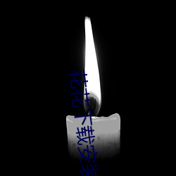 花花下载安装