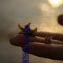 南少林电视(shì)剧(jù)