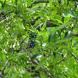 尊龙凯时人生就是搏(中国区)官方网站