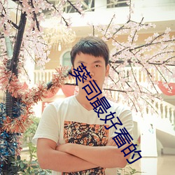 葵司最好看的