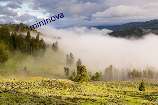 mininova