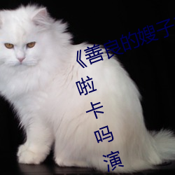 《善良的嫂(sǎo)子3中(zhōng)字巴巴(bā)鱼汤饭惹人(rén)啦卡吗演(yǎn)员》免费在线观