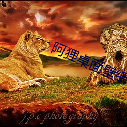 阿狸桌面壁紙 高清
