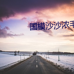 国模沙沙浓毛150P