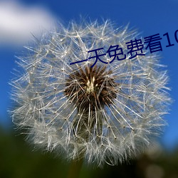 一天免费(費)看(看)10次的(的)app