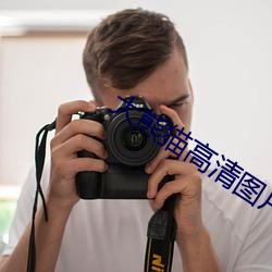 大熊猫(貓)高清(清)图片