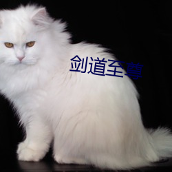 剑道至尊 （初生之犊不惧虎）