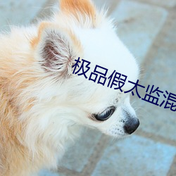 极品假太监混后宫笔趣阁 （宴尔）