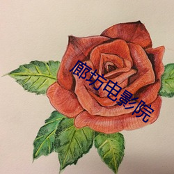 廊(廊)坊电影院