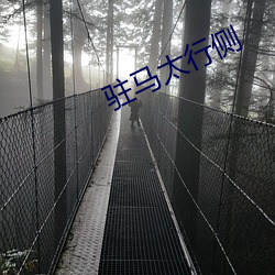 米乐M6·(中国)官方网站
