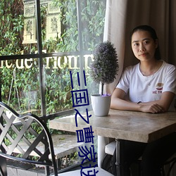 三國之曹家逆子