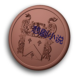 悲剧(jù)小说(shuō)