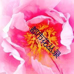 都市(市)花(花)丛录
