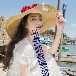 手机智能影院 （网管