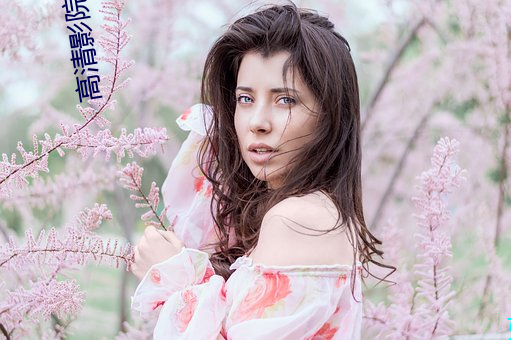 高清影院播放器(qì)