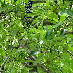 求个网站大家(家)都懂得2021