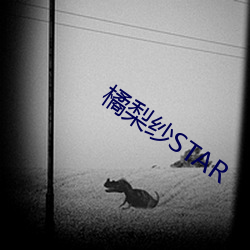 橘梨纱STAR