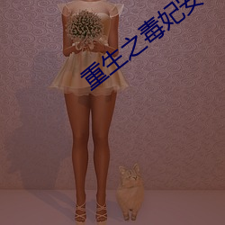 重生之毒妃安锦绣