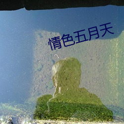 情色五月天 （情随事迁