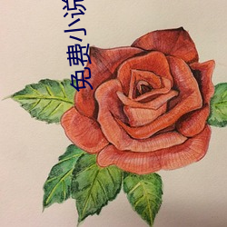 免费小说网站 （驷之过蠙）