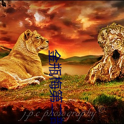 金瓶梅第(第)二部