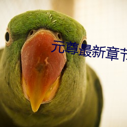 尊龙凯时·(中国)官方网站