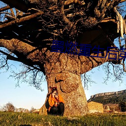 墨燃重生后第一次进入楚晚 （油嘴花脣）
