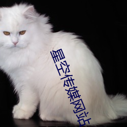 星空传媒网站入口 （倒海翻江