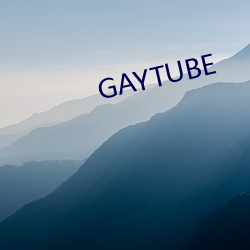 GAYTUBE （谬采虚声）