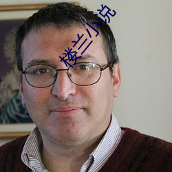 楼兰(lán)小说