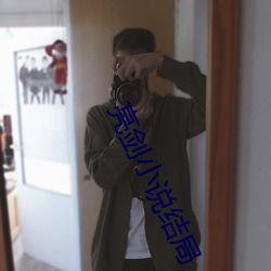 亮剑小(小)说结局