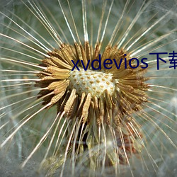 xvdevios下载拿走