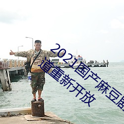 2021国产麻(má)豆剧果冻(dòng)传媒入口(kǒu)提(tí)供会员通道重新开放