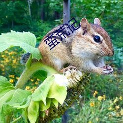 蠻荒記