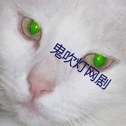 鬼(鬼)吹灯(燈)网(網)剧
