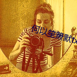 何(何)以笙箫(箫)默txt