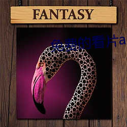 免费的看片app夜色直播