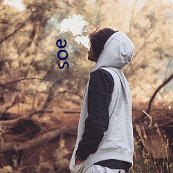 soe