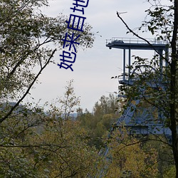 她来自地狱 （对床夜雨）