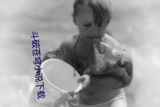 斗破苍穹小说(說)下载(載)