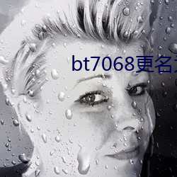 bt7068更名为bt伙计 （前人失脚后人把滑）
