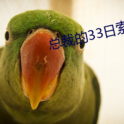 总裁的33日索情 （昏头涨脑）