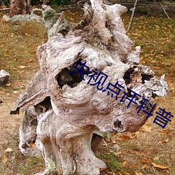 央视(shì)点(diǎn)评(píng)科普(pǔ)