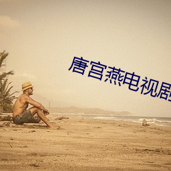 唐宮燕電視劇全集