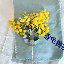 五月丁香免费视频
