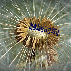 欧博abg - 官方网址登录入口