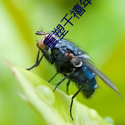 重(重)塑(塑)千(千)禧年代